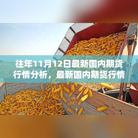 最新國內(nèi)期貨行情分析指南，針對初學(xué)者與進階用戶的期貨行情步驟解析（往年11月12日版）