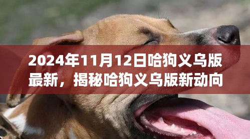 揭秘哈狗義烏版新動(dòng)向，深度解讀與最新動(dòng)態(tài)（2024年11月12日）