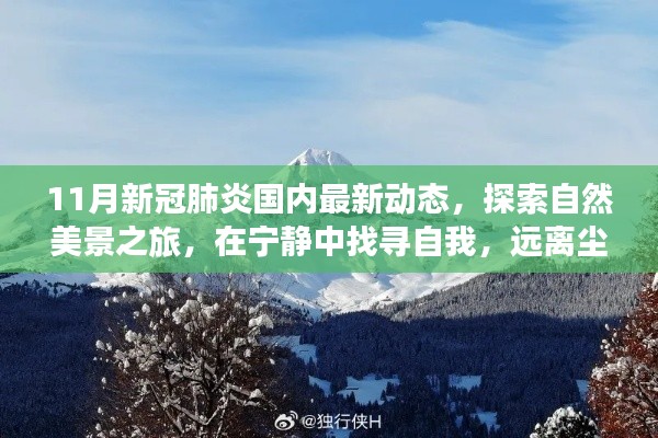 11月新冠肺炎國(guó)內(nèi)最新動(dòng)態(tài)，探索自然美景，寧?kù)o中找尋自我，迎接抗疫新篇章的旅行體驗(yàn)