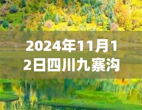 2024年11月12日四川九寨溝最新情況，自然恢復與旅游新篇章開啟