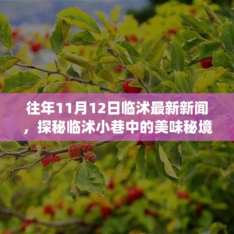 新聞中心 第204頁