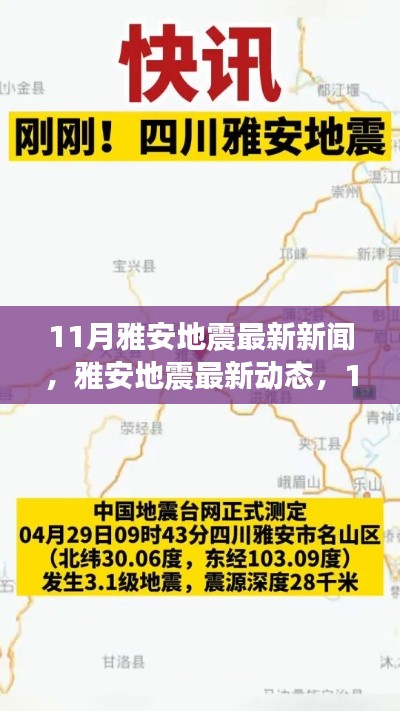 雅安地震最新動態(tài)，救援進展報告及地震活動更新（11月版）