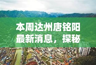 達(dá)州唐銘陽(yáng)最新獨(dú)家揭秘，巷弄深處的特色小店本周更新消息
