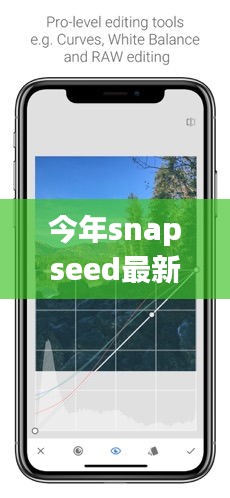 Snapseed最新版下載，回顧發(fā)展歷程，時代印記下的影響與地位