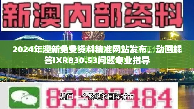 2024年澳新免費(fèi)資料精準(zhǔn)網(wǎng)站發(fā)布，動(dòng)畫解答IXR830.53問題專業(yè)指導(dǎo)
