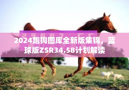 2024跑狗圖庫全新版集錦，藍(lán)球版ZSR34.58計劃解讀