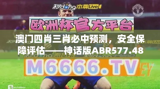 澳門四肖三肖必中預(yù)測，安全保障評估——神話版ABR577.48
