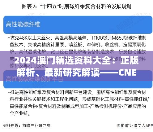 2024澳門精選資料大全：正版解析、最新研究解讀——CNE350.58可變版