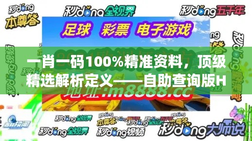 一肖一碼100%精準(zhǔn)資料，頂級精選解析定義——自助查詢版HOU688.73