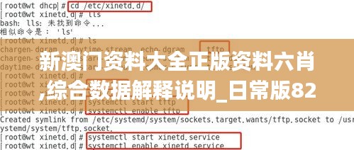新澳門資料大全正版資料六肖,綜合數(shù)據(jù)解釋說明_日常版822.09