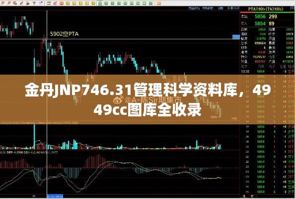 金丹JNP746.31管理科學資料庫，4949cc圖庫全收錄