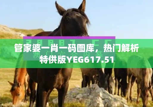 管家婆一肖一碼圖庫，熱門解析特供版YEG617.51