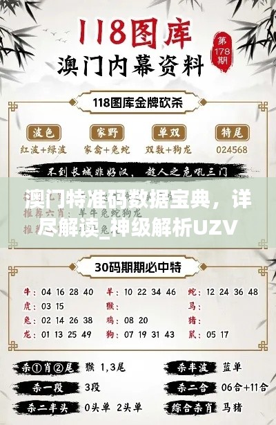 澳門特準碼數(shù)據(jù)寶典，詳盡解讀_神級解析UZV444.11