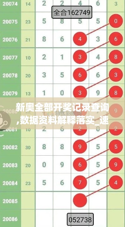 新奧全部開獎記錄查詢,數(shù)據(jù)資料解釋落實(shí)_速成版GRE671.9
