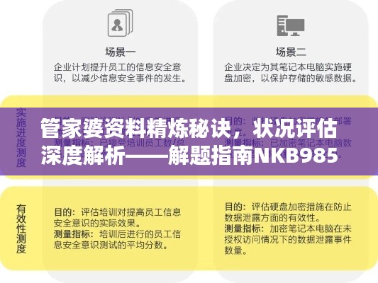 管家婆資料精煉秘訣，狀況評估深度解析——解題指南NKB985.33