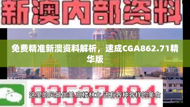 免費精準(zhǔn)新澳資料解析，速成CGA862.71精華版