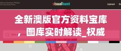 全新澳版官方資料寶庫，圖庫實(shí)時解讀_權(quán)威QUC98.24版