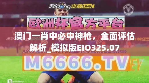 澳門一肖中必中神槍，全面評估解析_模擬版EIO325.07