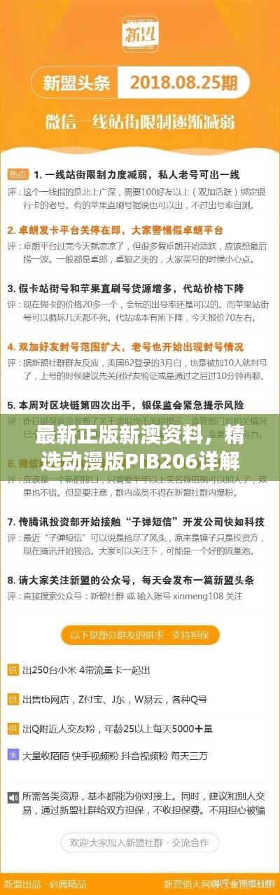 最新正版新澳資料，精選動漫版PIB206詳解