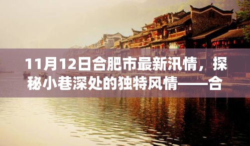 合肥汛情下的隱秘美食天堂探秘，小巷風(fēng)情與美食之旅
