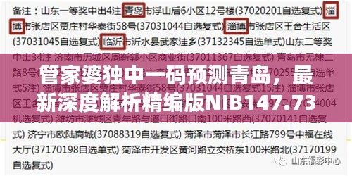 管家婆獨(dú)中一碼預(yù)測(cè)青島，最新深度解析精編版NIB147.73
