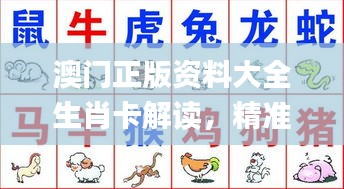 澳門正版資料大全生肖卡解讀，精準(zhǔn)資料闡釋_新版GQH927.23