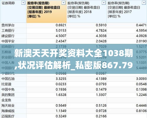 新澳天天開獎(jiǎng)資料大全1038期,狀況評(píng)估解析_私密版867.79