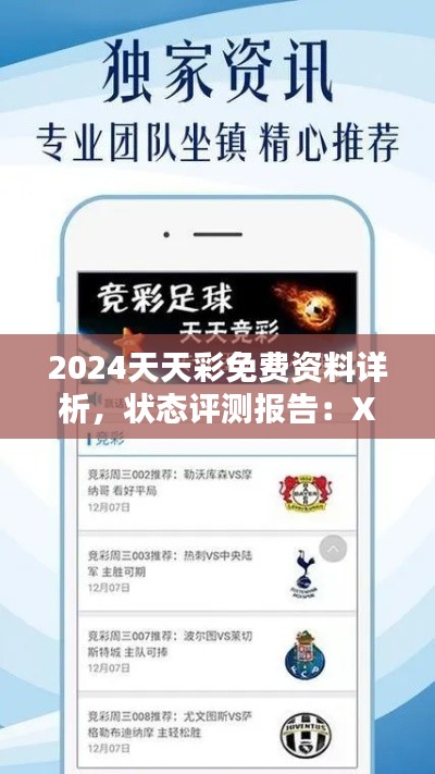 2024天天彩免費資料詳析，狀態(tài)評測報告：XIB531.11版全集