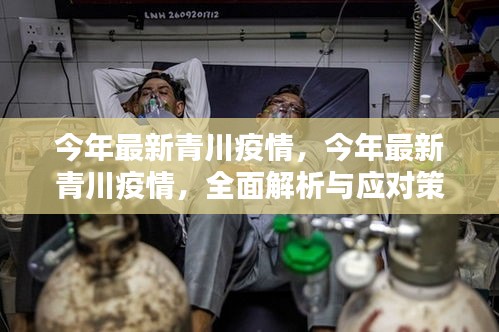 今年最新青川疫情全面解析與應(yīng)對策略，全面關(guān)注，科學(xué)防控
