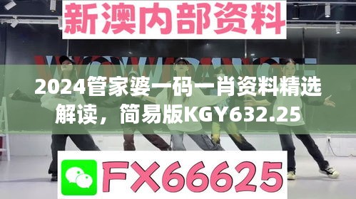 2024管家婆一碼一肖資料精選解讀，簡(jiǎn)易版KGY632.25