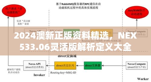 2024澳新正版資料精選，NEX533.06靈活版解析定義大全