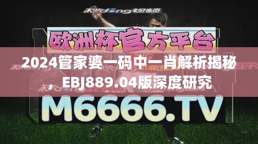 2024管家婆一碼中一肖解析揭秘，EBJ889.04版深度研究