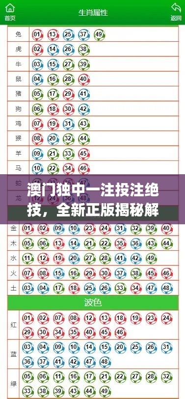 澳門獨(dú)中一注投注絕技，全新正版揭秘解析_GBL206.5通用版