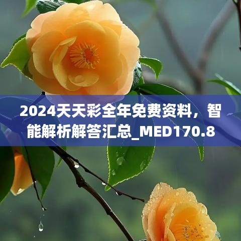 2024天天彩全年免費(fèi)資料，智能解析解答匯總_MED170.88版