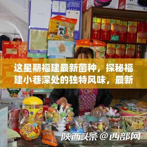福建小巷深處的獨特風味，最新菌種小店之旅探秘記