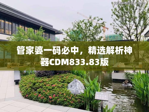管家婆一碼必中，精選解析神器CDM833.83版