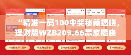 “精準(zhǔn)一碼100中獎秘籍揭曉，理財(cái)版WZB209.66贏家揭曉”