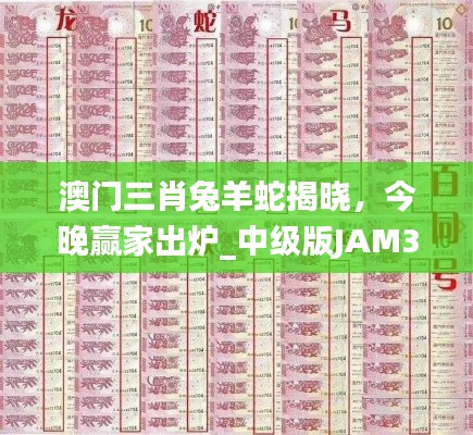 澳門三肖兔羊蛇揭曉，今晚贏家出爐_中級版JAM324.11