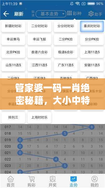 管家婆一碼一肖絕密秘籍，大小中特精準(zhǔn)解析，JRW112.88編程版最新解讀