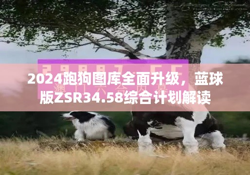 2024跑狗圖庫全面升級，藍(lán)球版ZSR34.58綜合計(jì)劃解讀