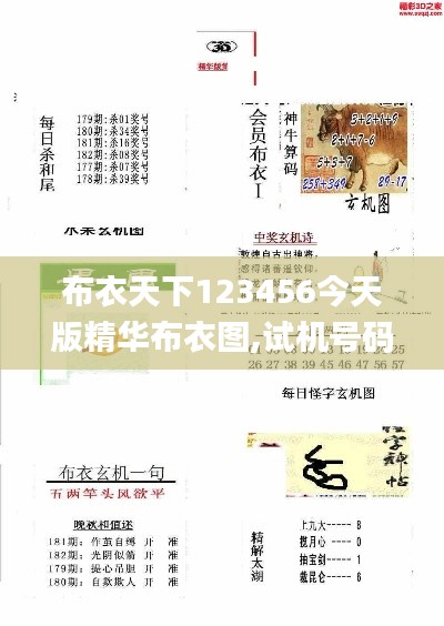 布衣天下123456今天版精華布衣圖,試機號碼,電網規(guī)劃發(fā)展目標_極限版ZXJ738.92