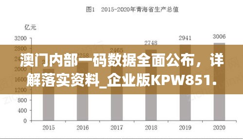 澳門內(nèi)部一碼數(shù)據(jù)全面公布，詳解落實(shí)資料_企業(yè)版KPW851.07