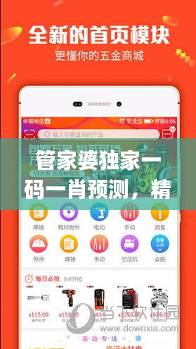 管家婆獨家一碼一肖預測，精準解析精選版_AON162.32網絡版