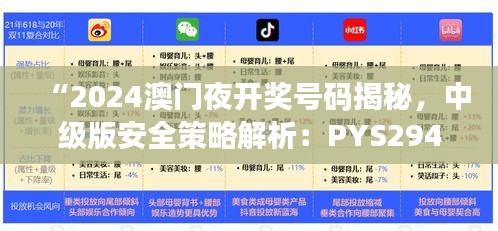 “2024澳門夜開獎號碼揭秘，中級版安全策略解析：PYS294.03”