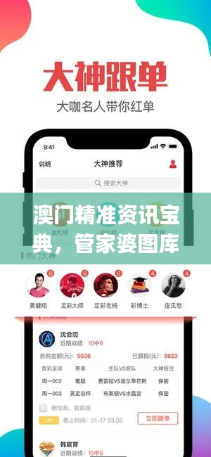 澳門精準(zhǔn)資訊寶典，管家婆圖庫解析_影音版ZFS99.22