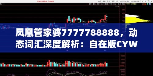 鳳凰管家婆7777788888，動(dòng)態(tài)詞匯深度解析：自在版CYW389.88