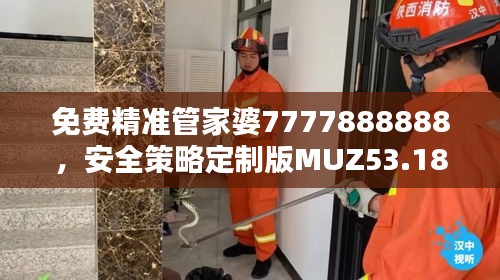 免費(fèi)精準(zhǔn)管家婆7777888888，安全策略定制版MUZ53.18評(píng)估服務(wù)