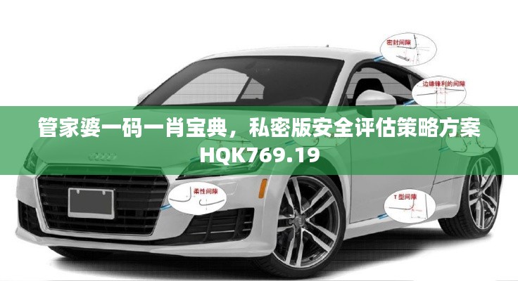管家婆一碼一肖寶典，私密版安全評估策略方案HQK769.19