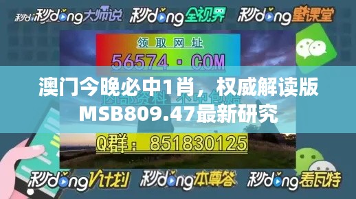 澳門今晚必中1肖，權(quán)威解讀版MSB809.47最新研究