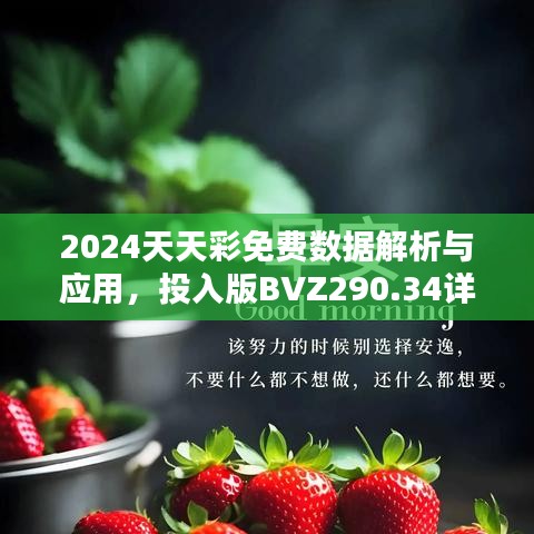 2024天天彩免費(fèi)數(shù)據(jù)解析與應(yīng)用，投入版BVZ290.34詳述
